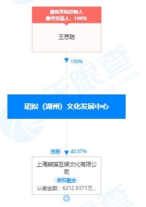 王思聪关联公司成被执行人，执行标的超28万，涉经营性互联网文化信息服务